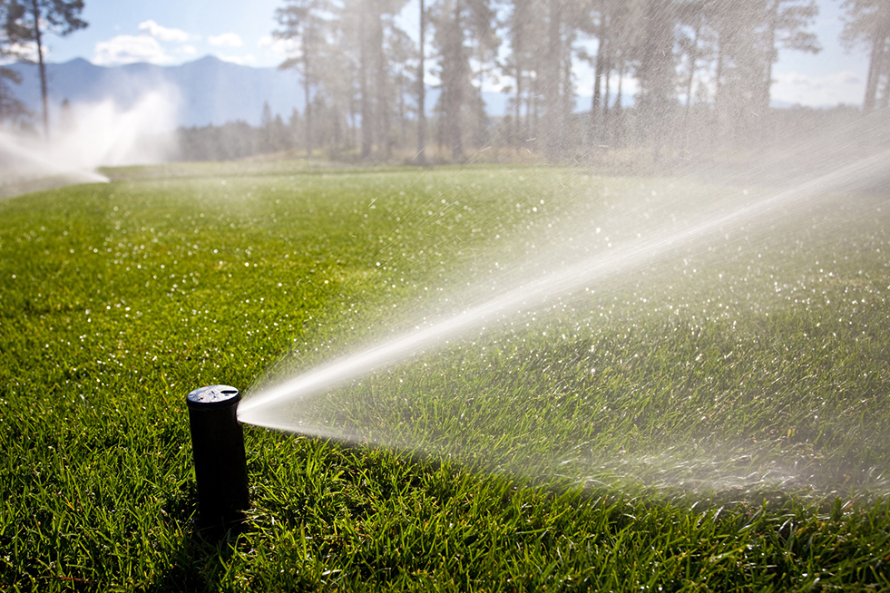 sprinkler system