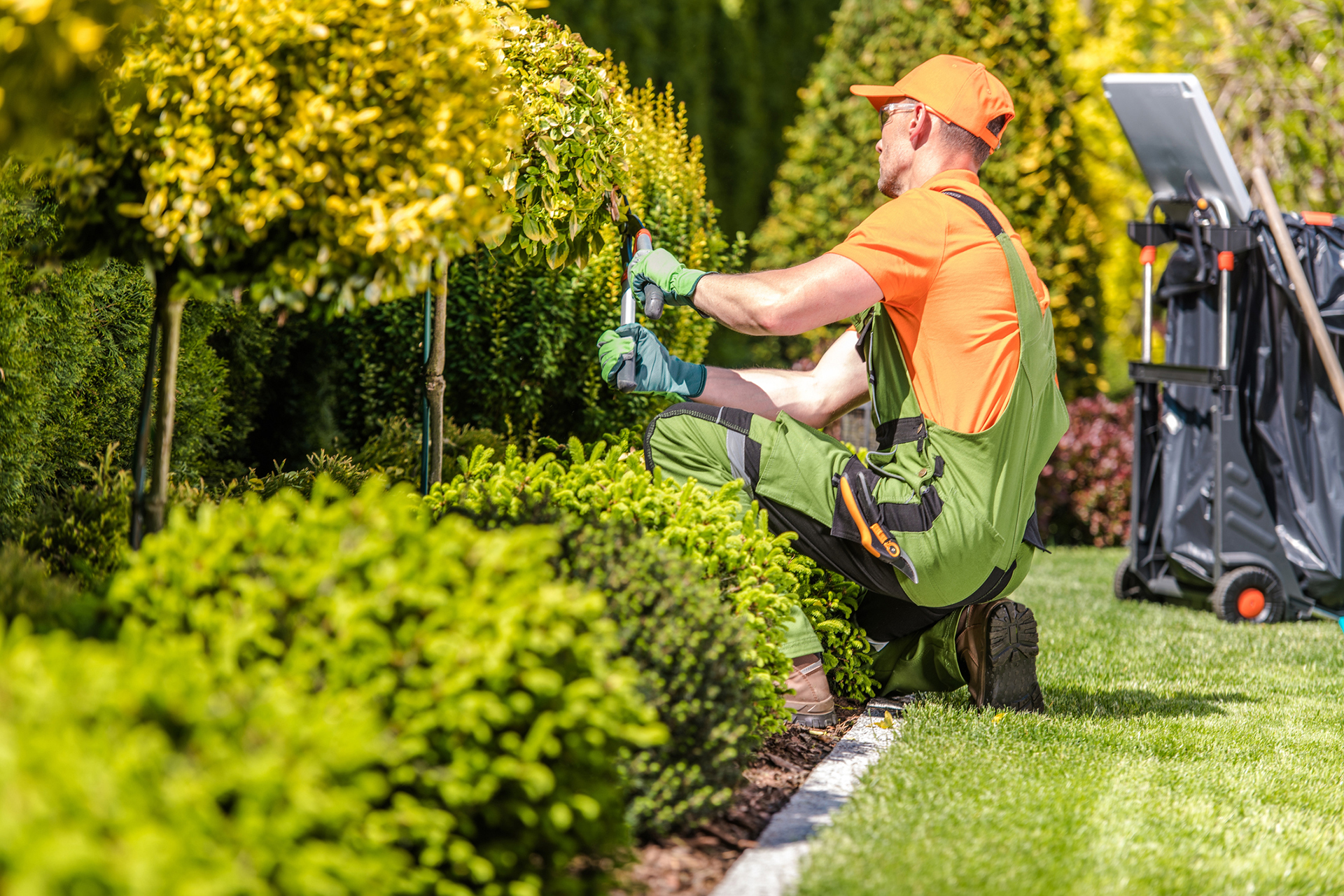 grass installation