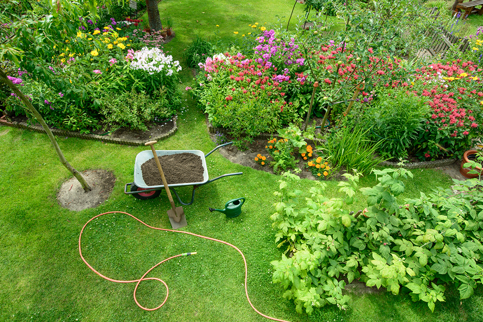 Aerial view of garden with wheelbarrow
