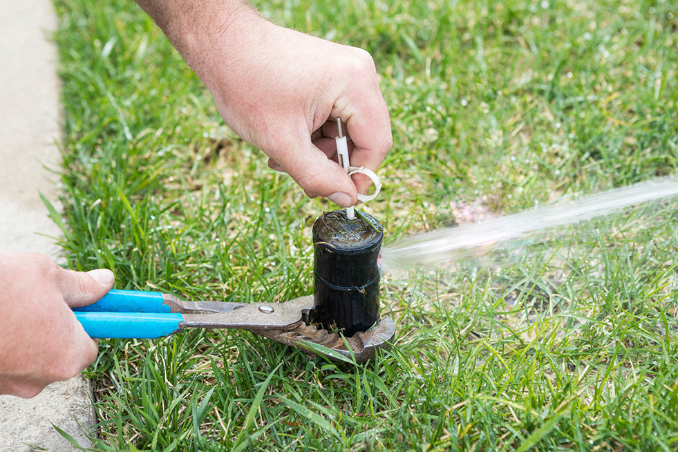 Sprinkler being installed