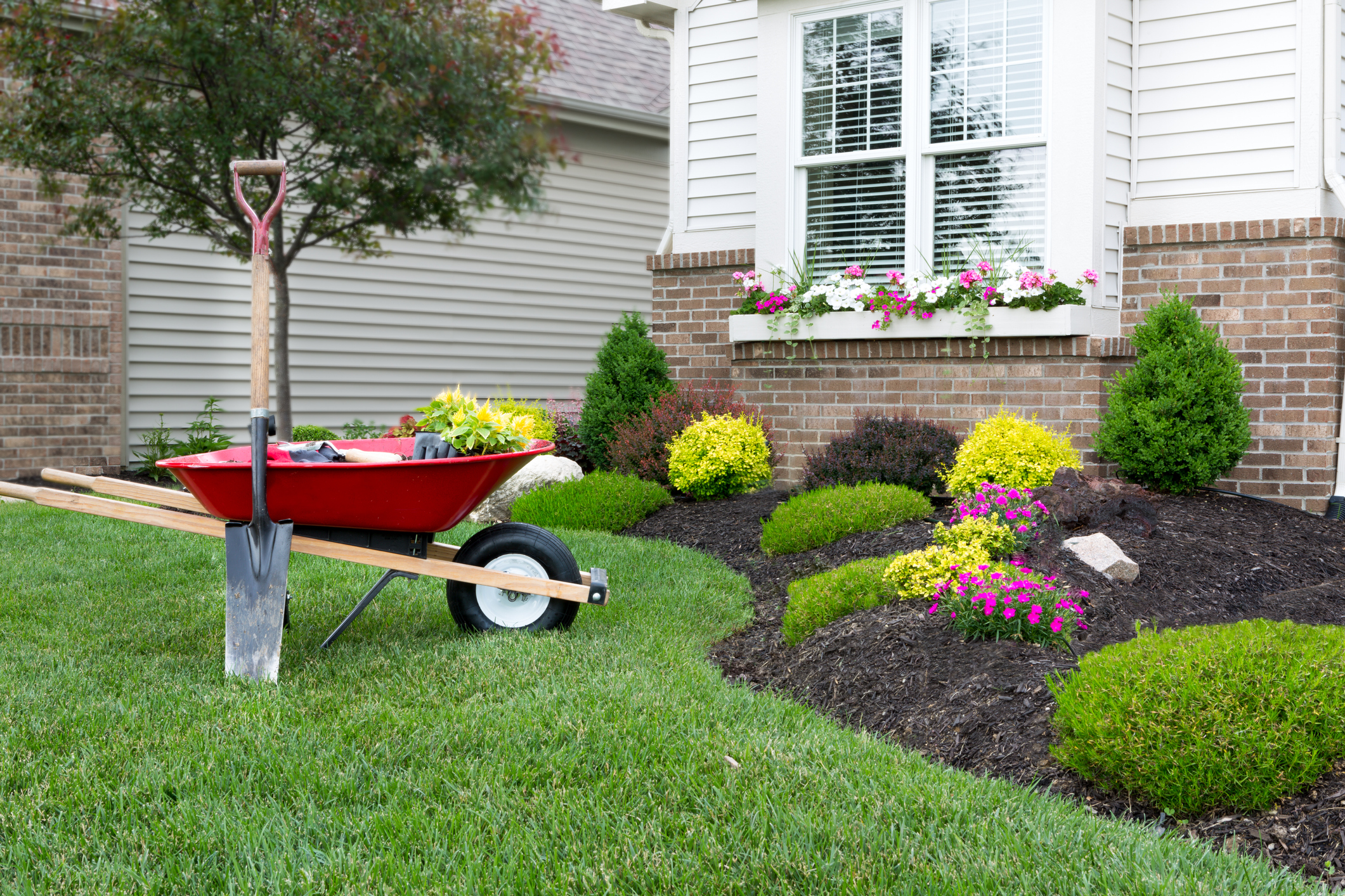 Landscape with a wheelbarrow carrying supplies