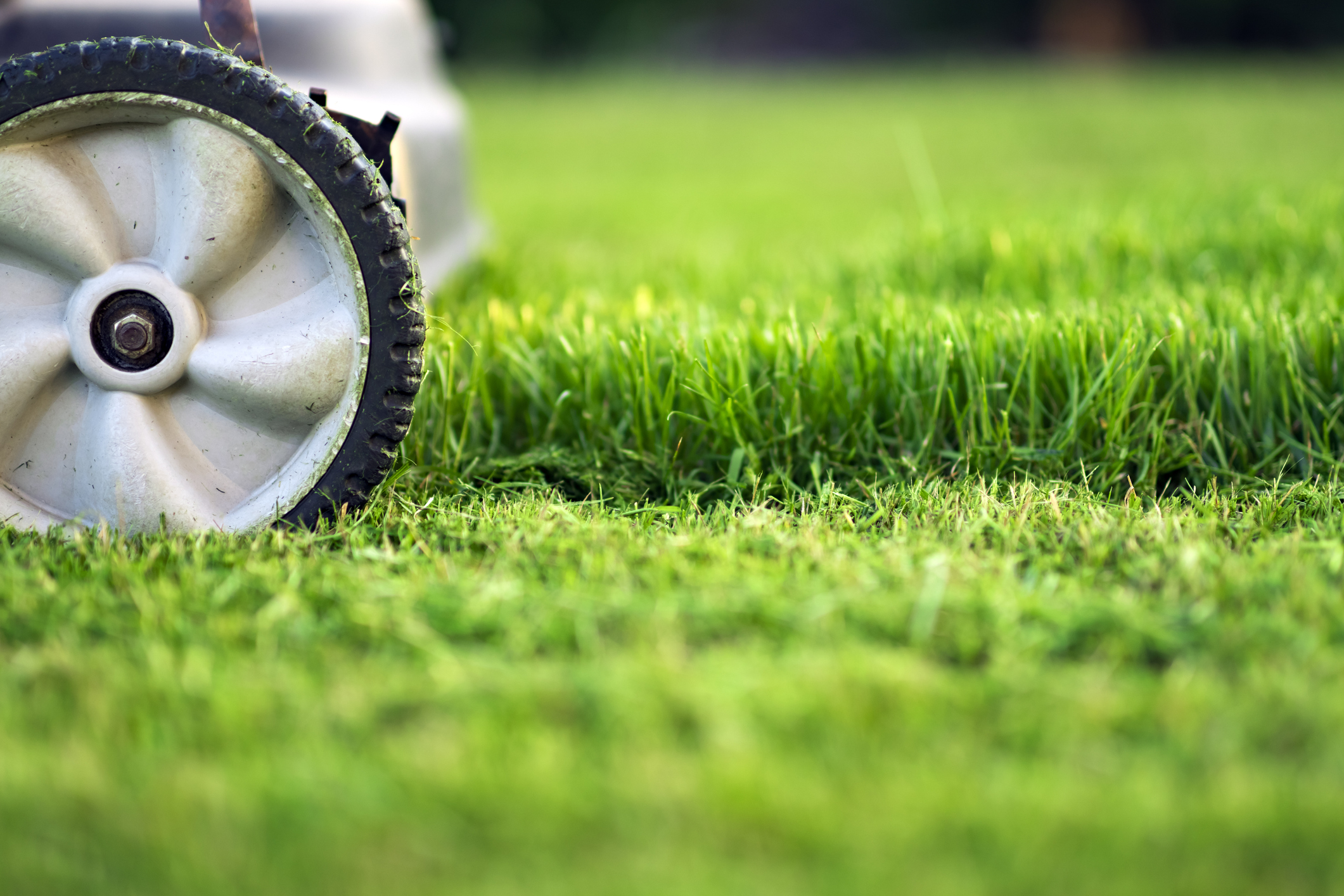 Lawn mower mowing lawn