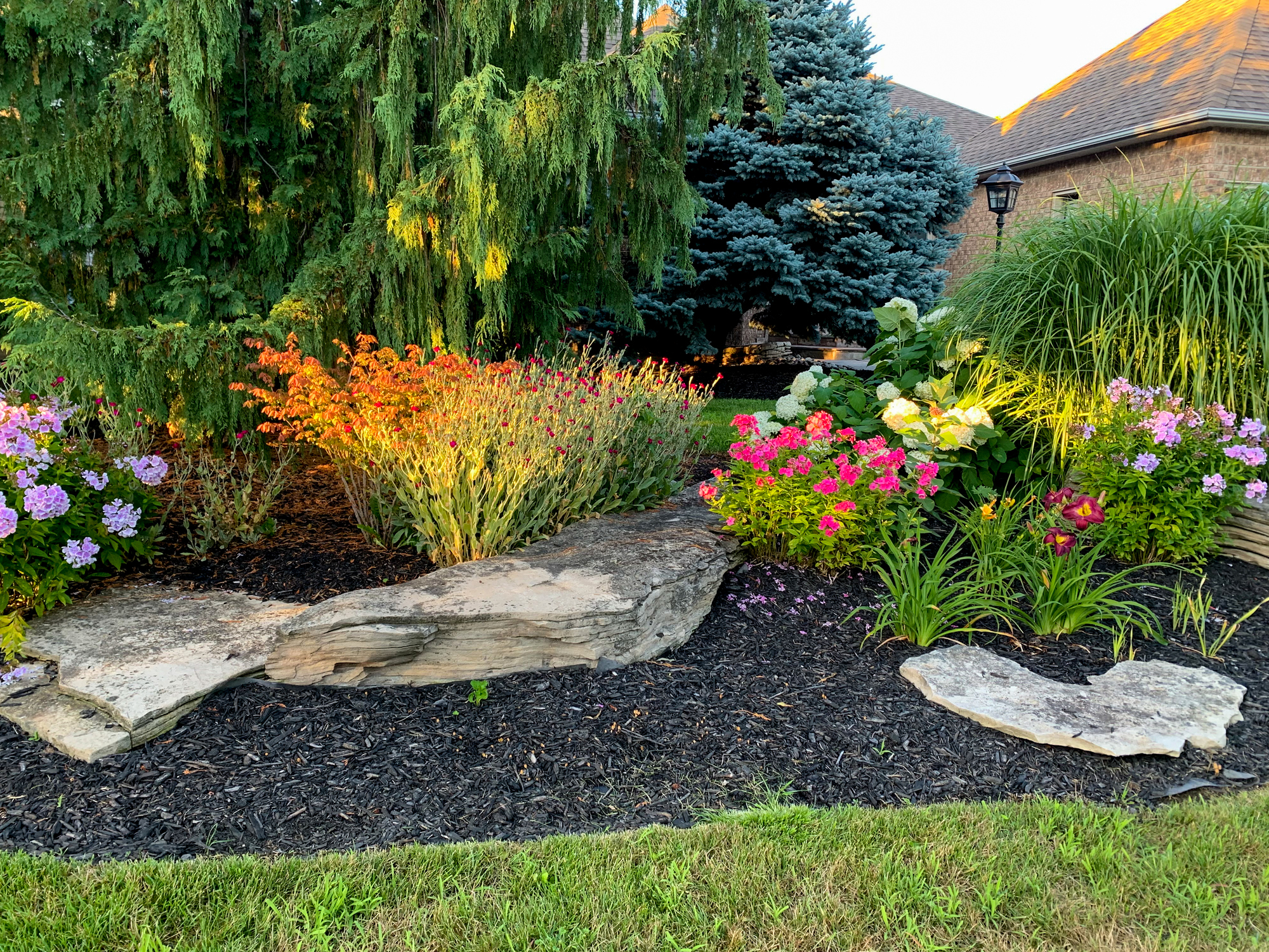 New installed landscape